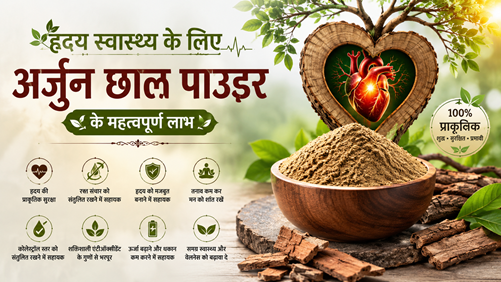 हृदय स्वास्थ्य के लिए अर्जुन छाल पाउडर के महत्वपूर्ण लाभ